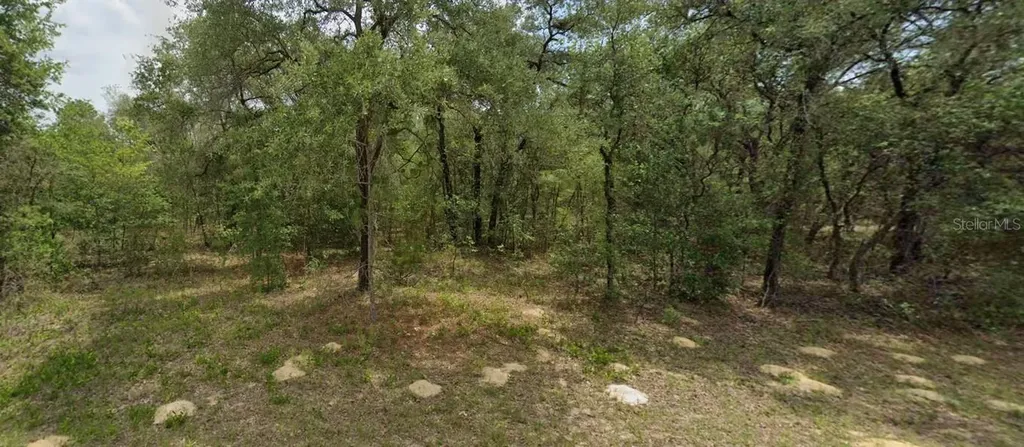 6455 N Whispering Drive Citrus Springs FL 34434