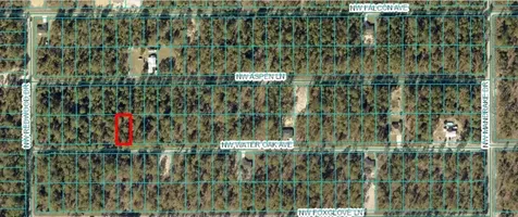 Tbd NW Water Oak, Lot 60 Dunnellon FL 34431
