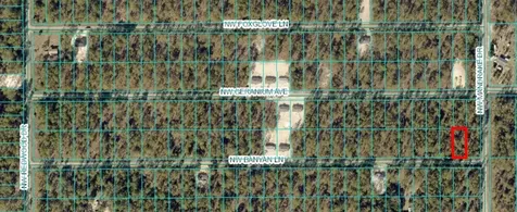 Tbd NW Banyan Ln, Lot 35 Dunnellon FL 34431