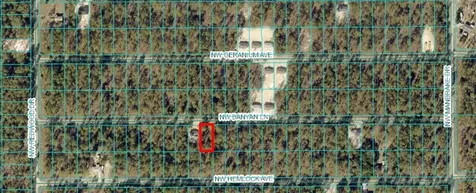 Tbd NW Banyan Ln, Lot 14 Dunnellon FL 34431