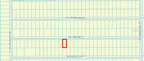 Tbd NW Banyan Ln, Lot 14 Dunnellon FL 34431