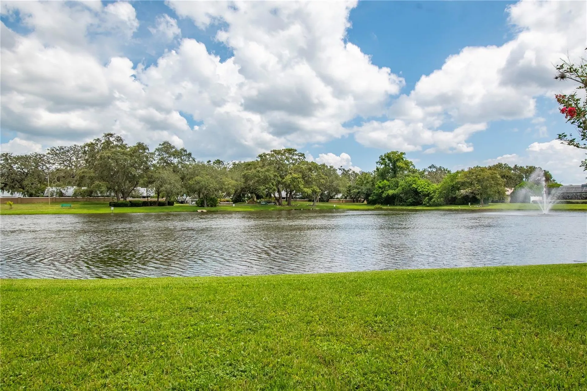 2906 Windridge Drive Holiday FL 34691