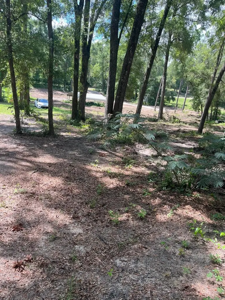 12695 SW 64th St Road Ocala FL 34481