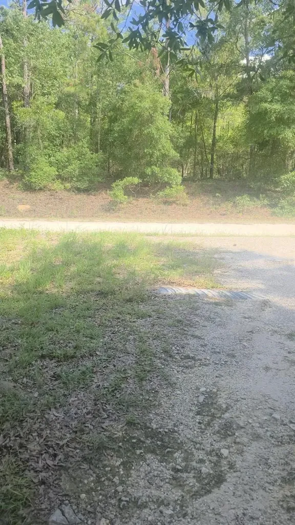 12695 SW 64th Street Road Ocala FL 34481