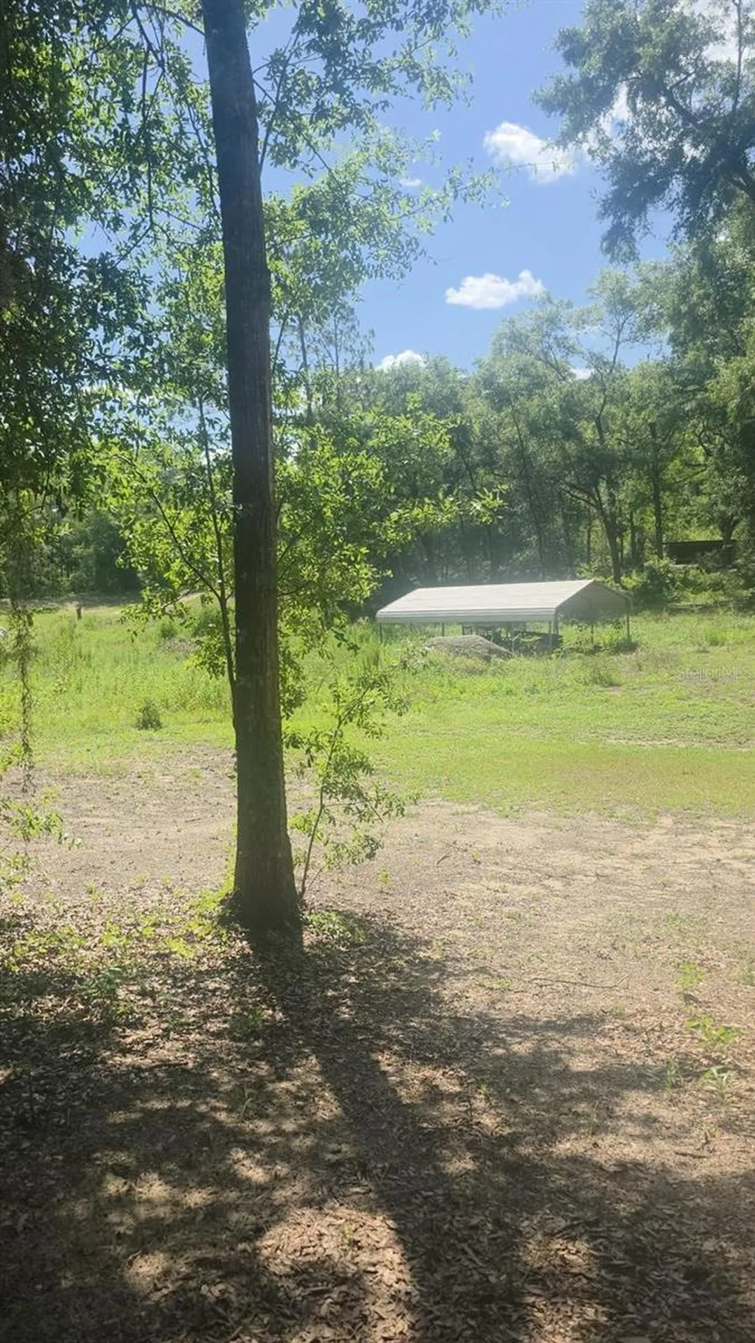12695 SW 64th Street Road Ocala FL 34481