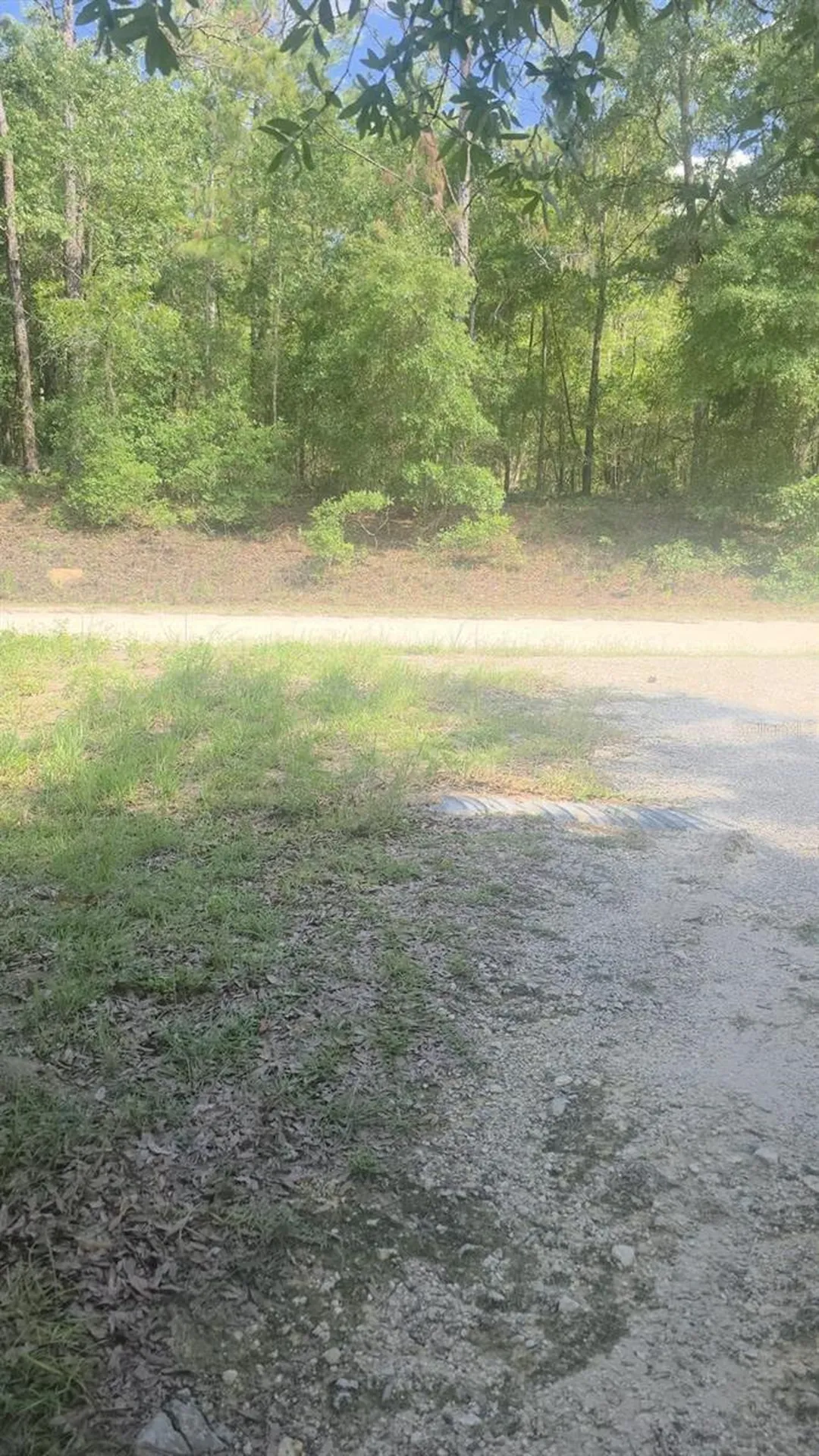 12695 SW 64th Street Road Ocala FL 34481