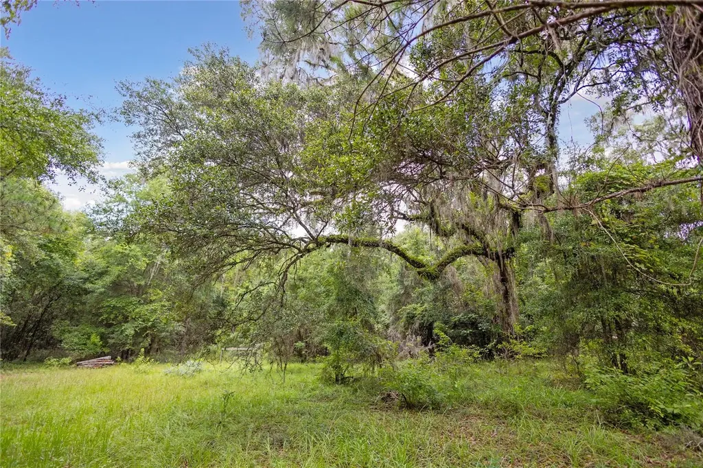 8530 NE 160th Avenue Williston FL 32696