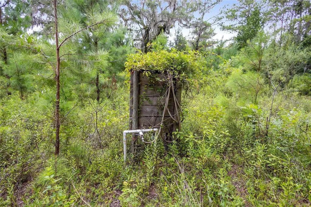 8530 NE 160th Avenue Williston FL 32696