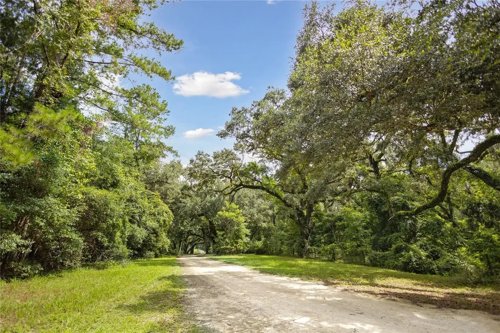 8530 NE 160th Avenue Williston FL 32696