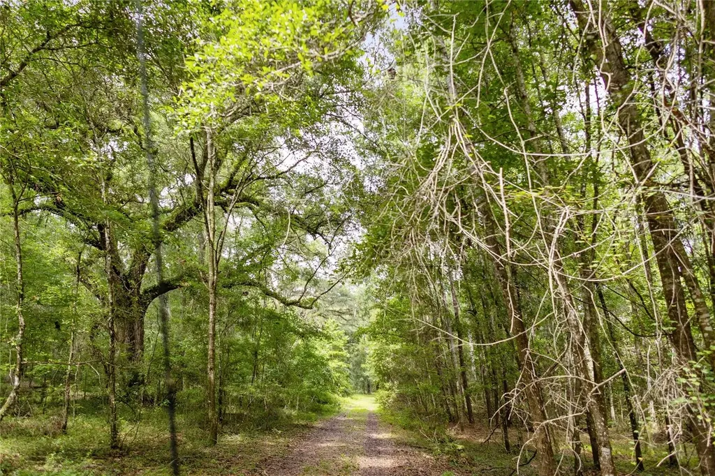 8530 NE 160th Avenue Williston FL 32696