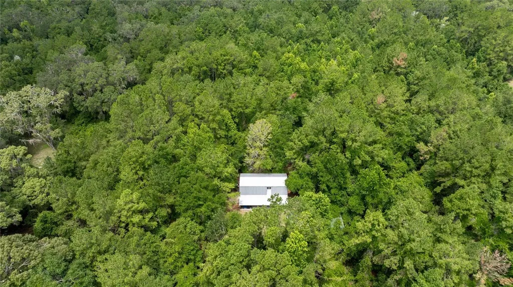 8530 NE 160th Avenue Williston FL 32696
