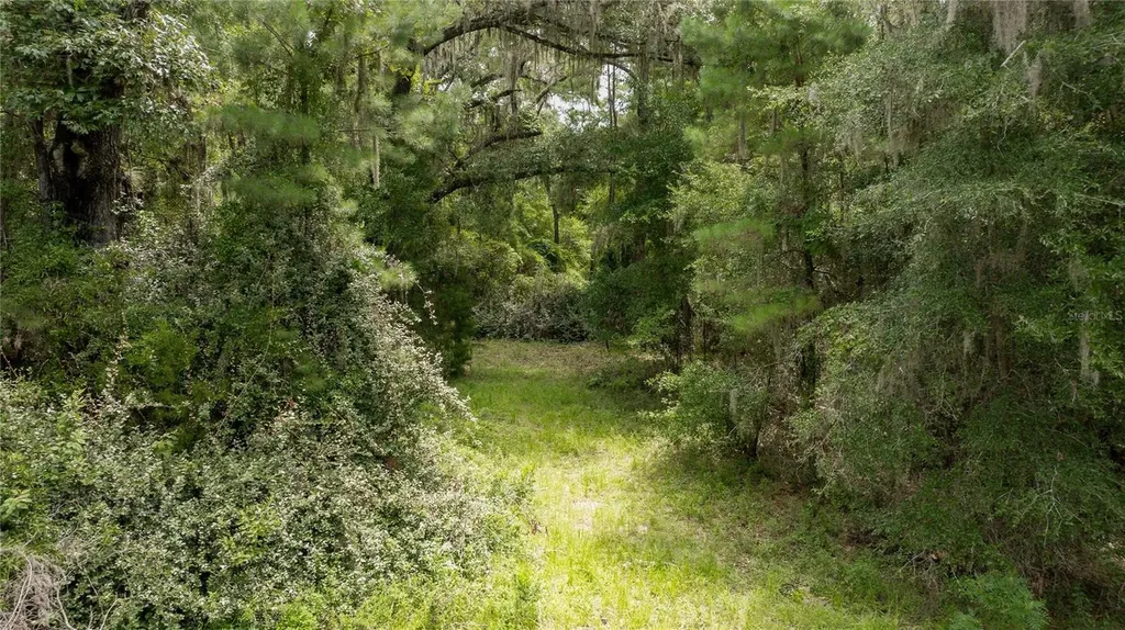 8530 NE 160th Avenue Williston FL 32696