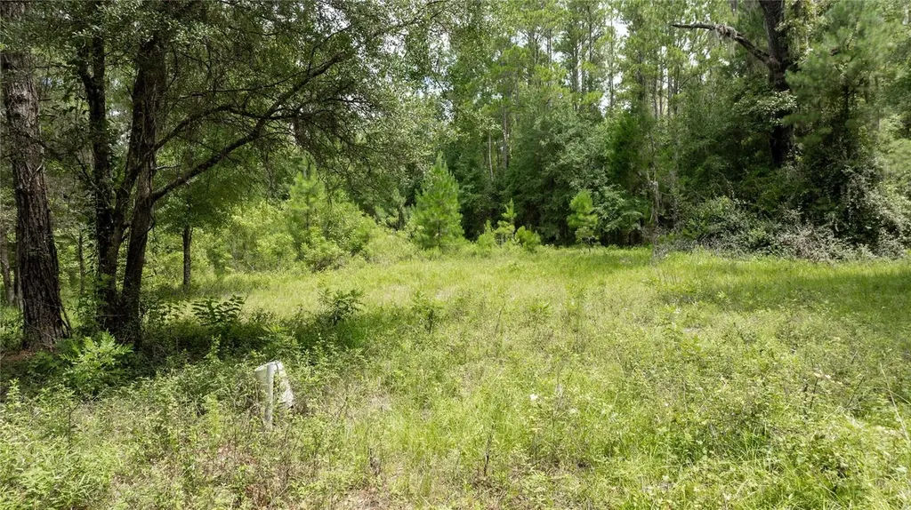 8530 NE 160th Avenue Williston FL 32696