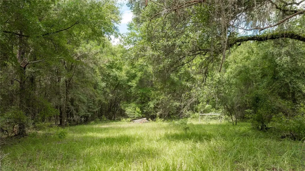 8530 NE 160th Avenue Williston FL 32696