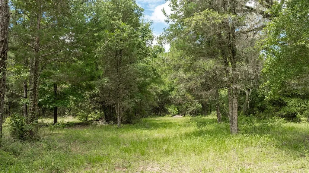 8530 NE 160th Avenue Williston FL 32696