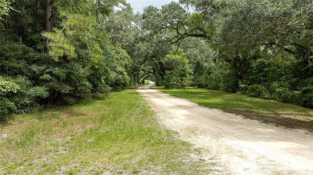 8530 NE 160th Avenue Williston FL 32696