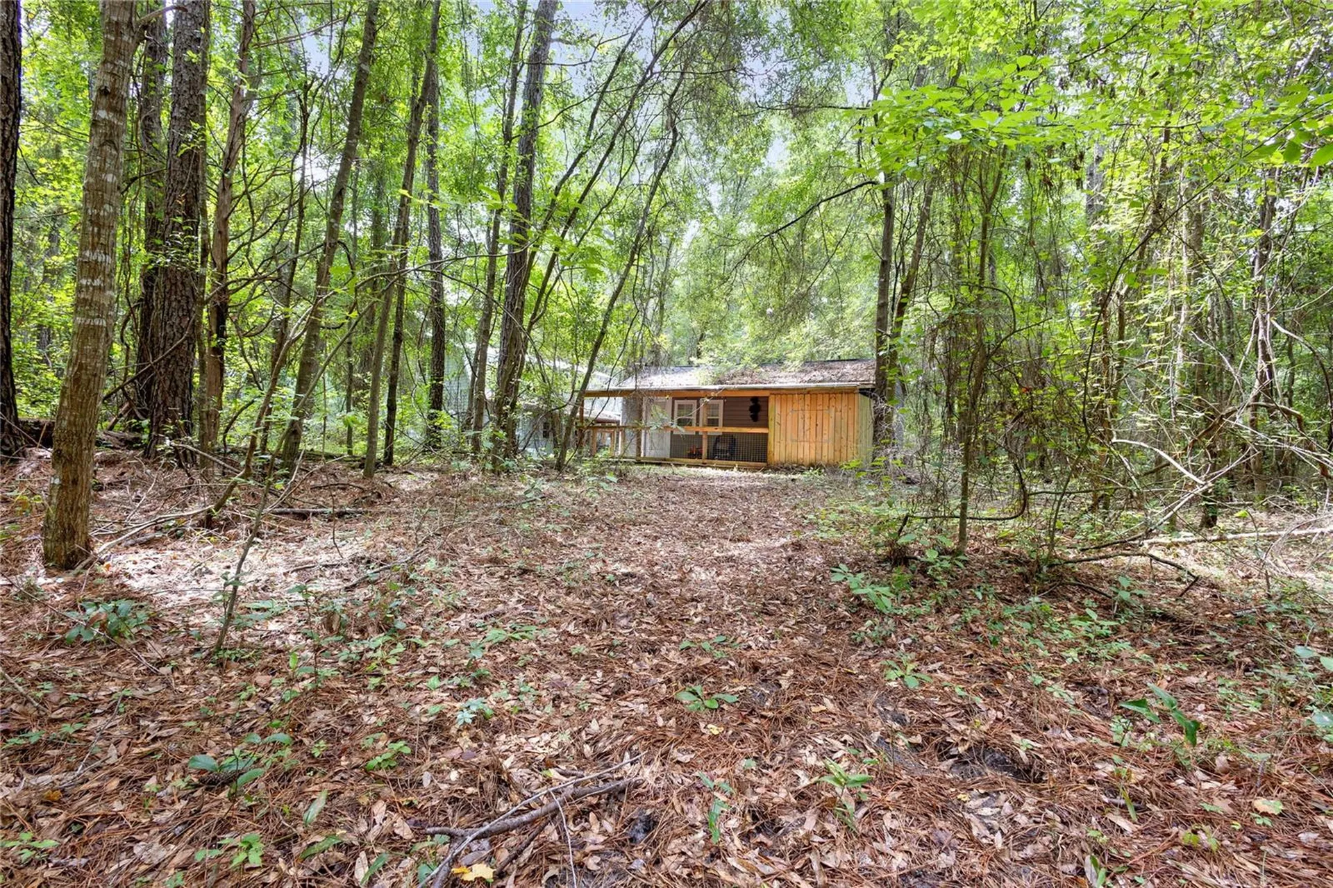 8530 NE 160th Avenue Williston FL 32696