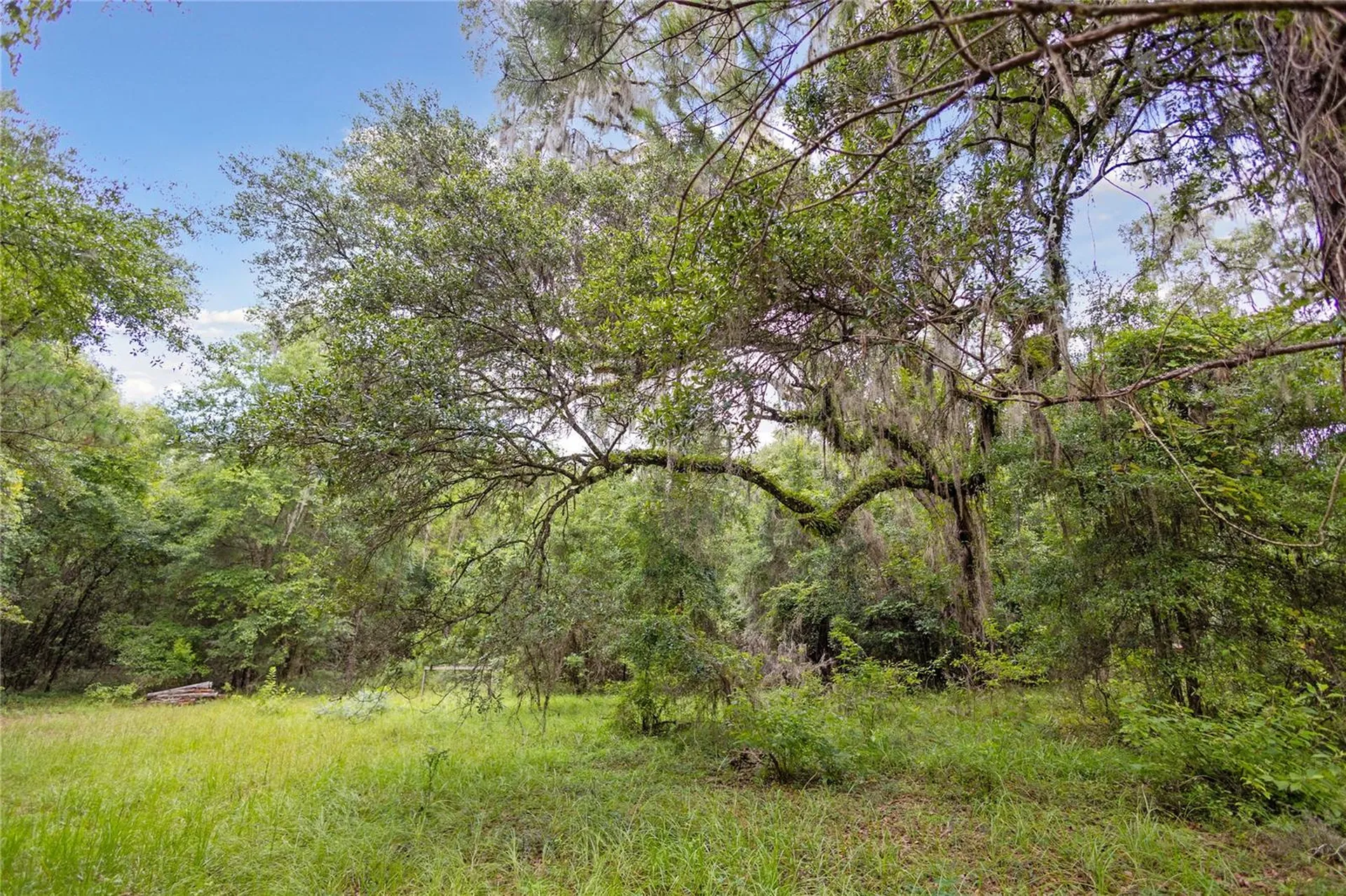 8530 NE 160th Avenue Williston FL 32696