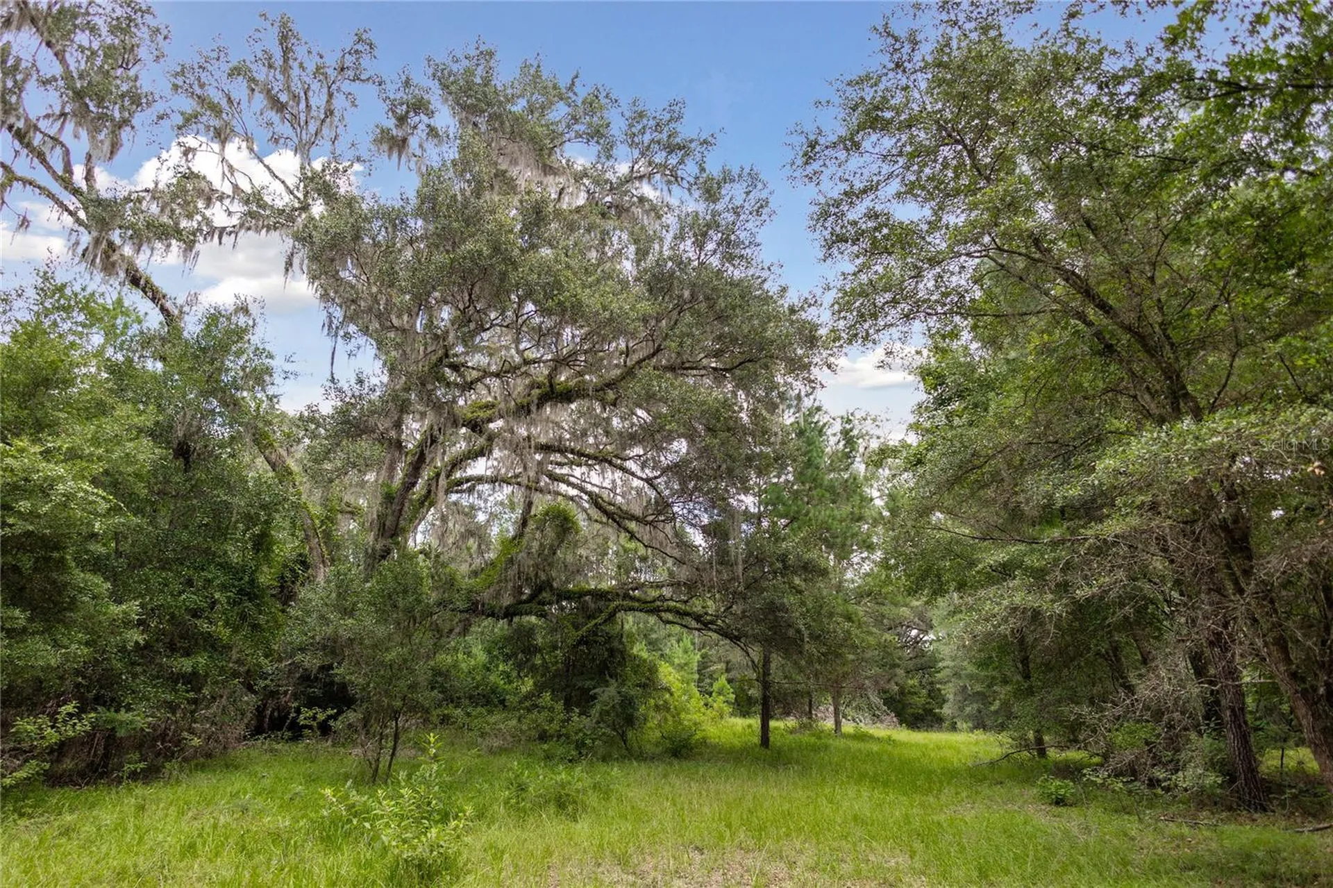 8530 NE 160th Avenue Williston FL 32696