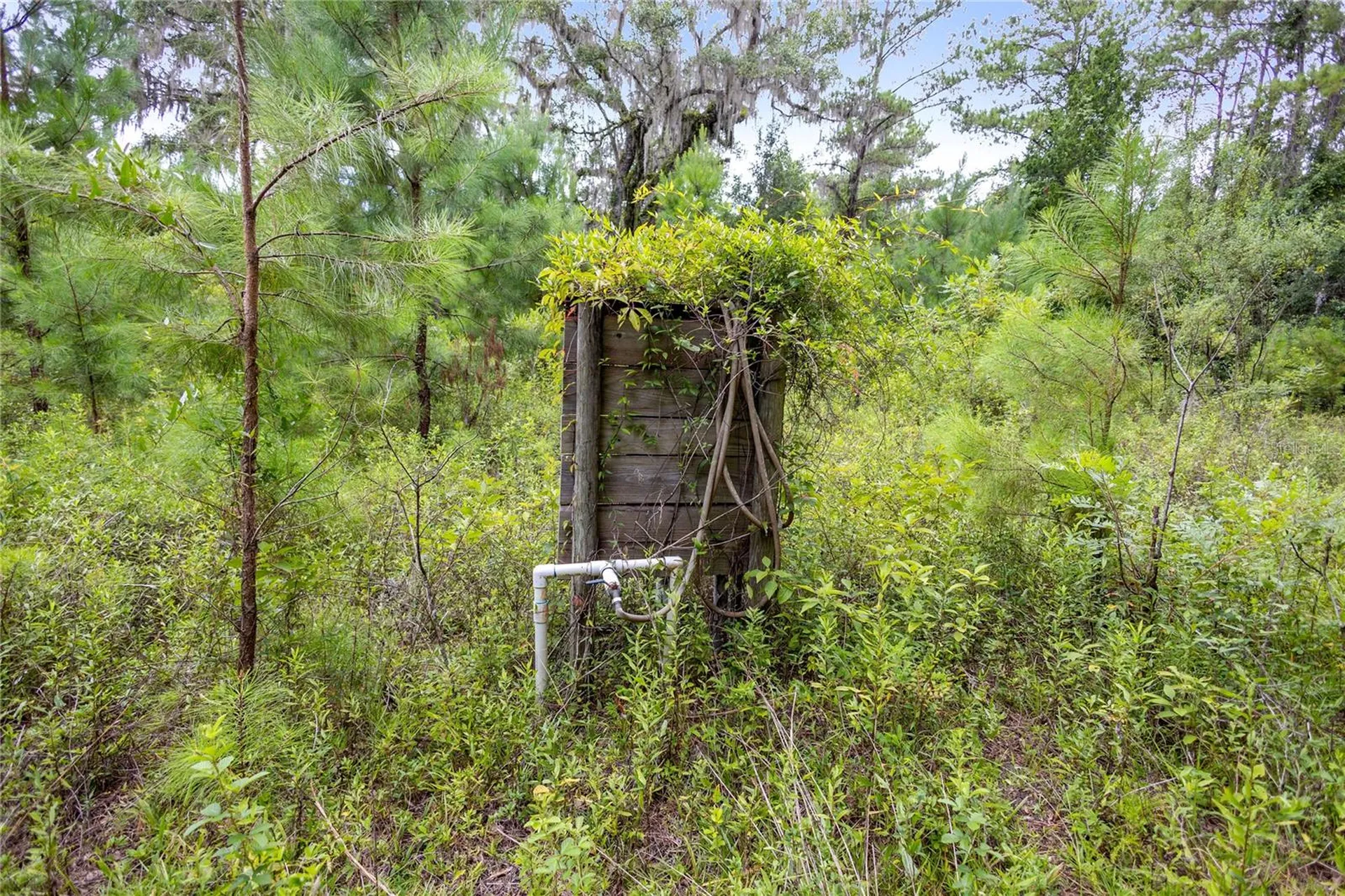 8530 NE 160th Avenue Williston FL 32696