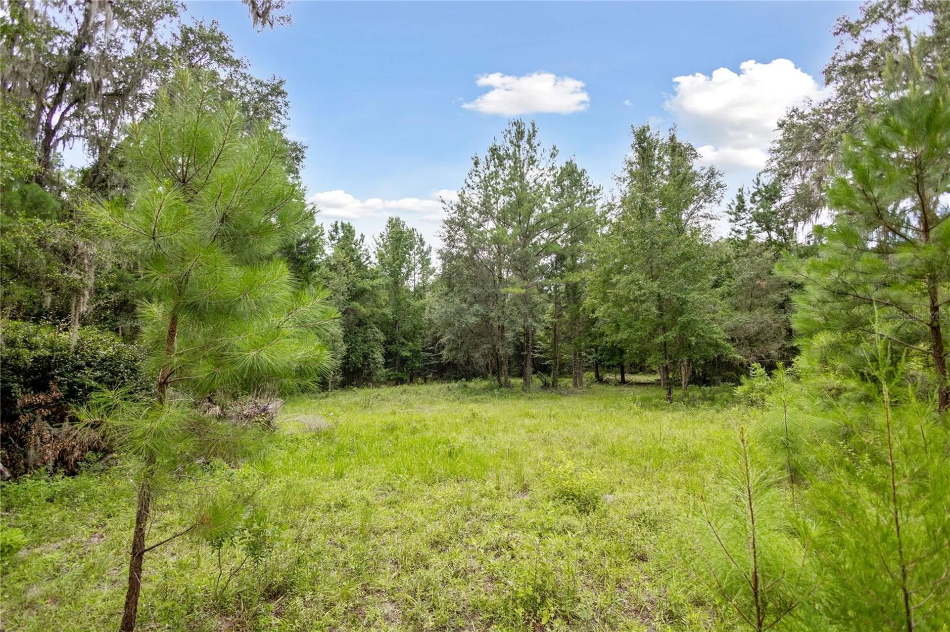 8530 NE 160th Avenue Williston FL 32696