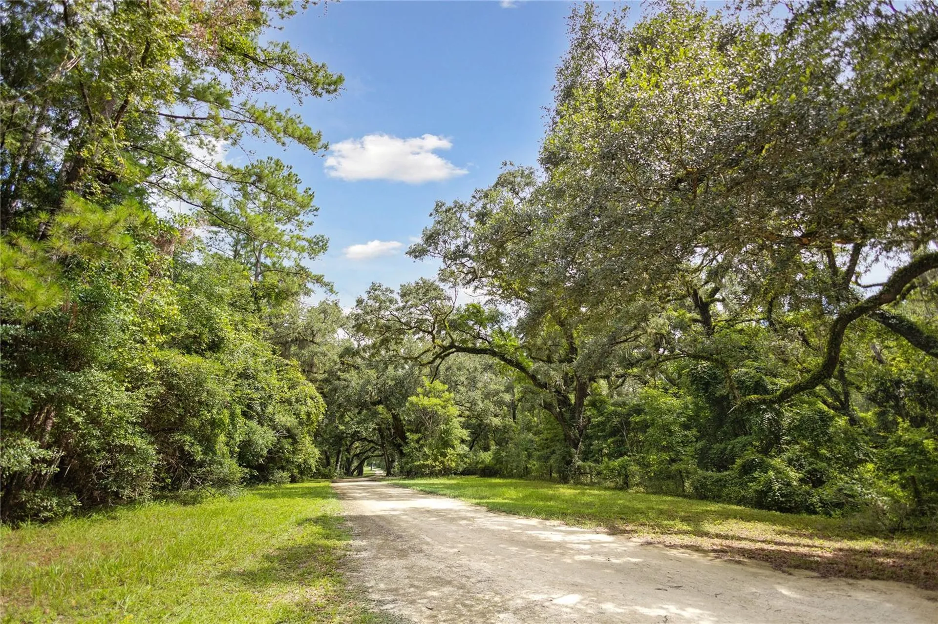 8530 NE 160th Avenue Williston FL 32696