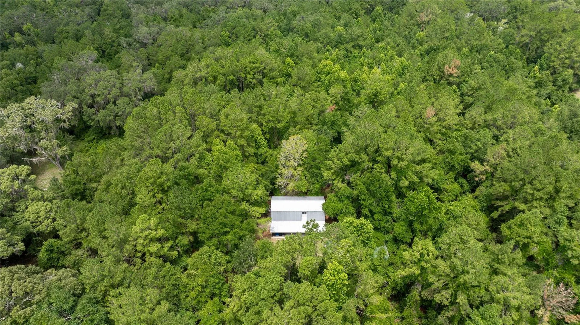 8530 NE 160th Avenue Williston FL 32696