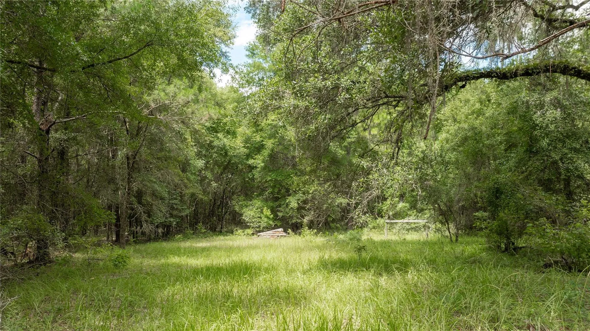 8530 NE 160th Avenue Williston FL 32696