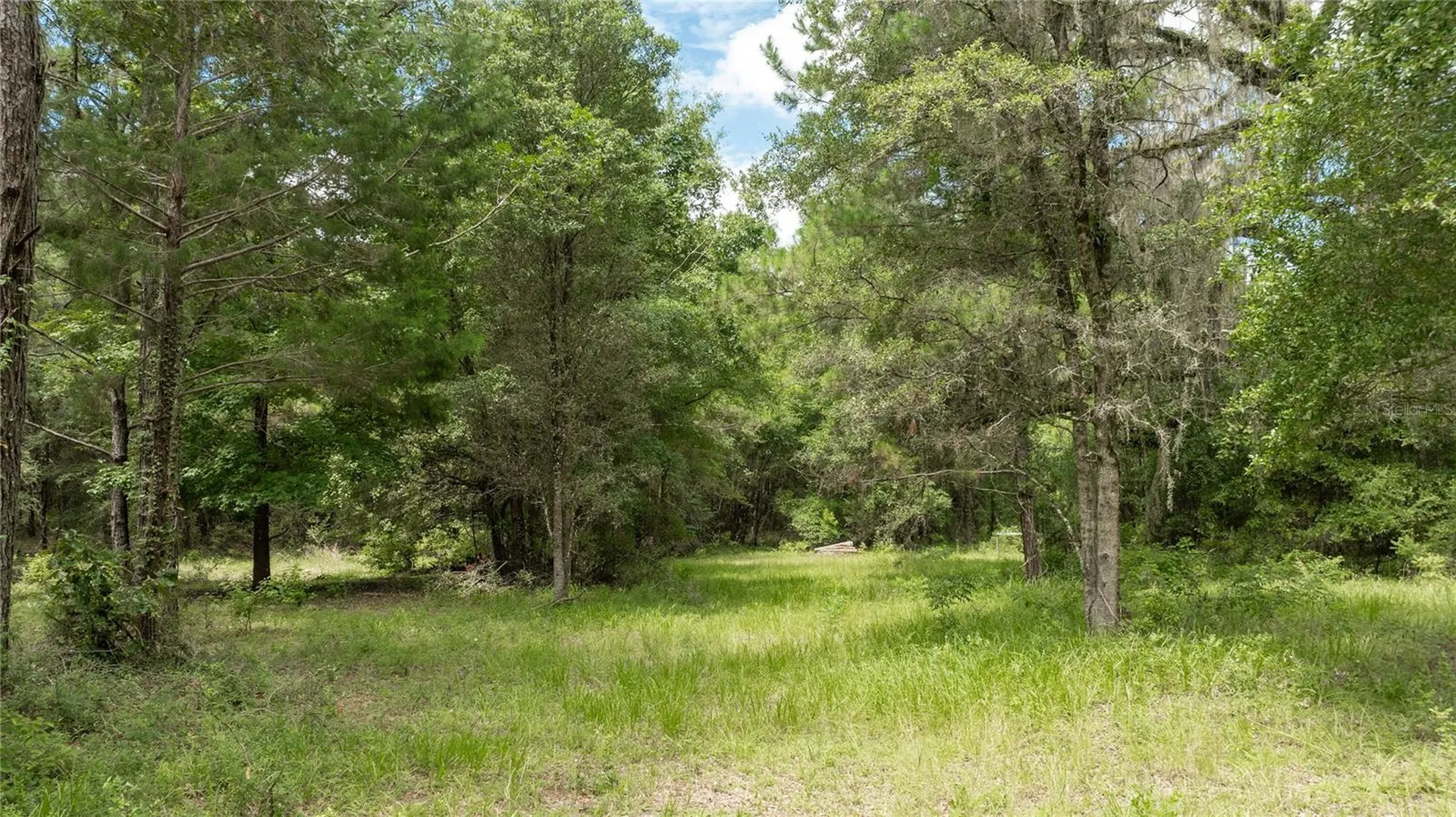 8530 NE 160th Avenue Williston FL 32696