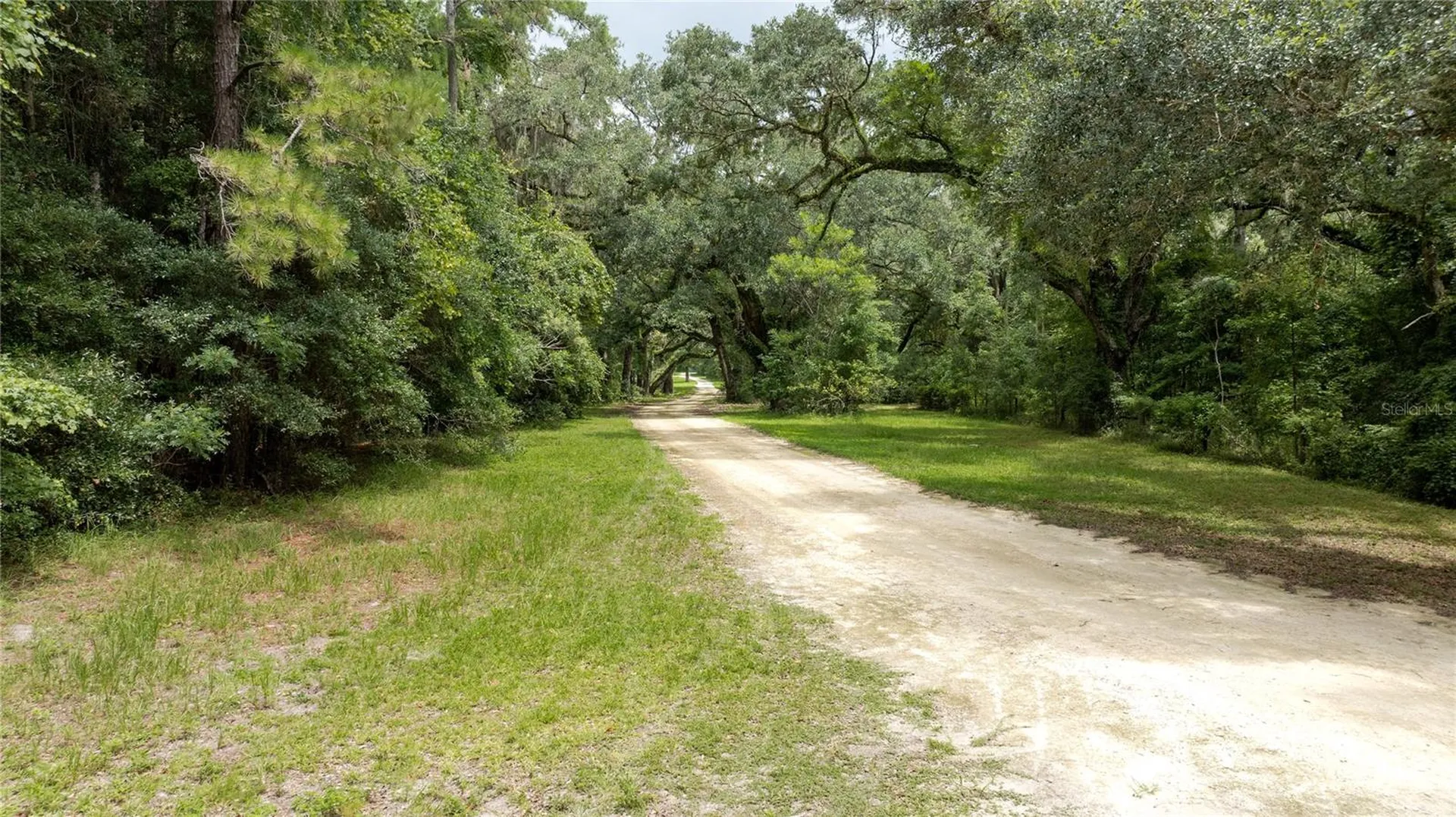 8530 NE 160th Avenue Williston FL 32696