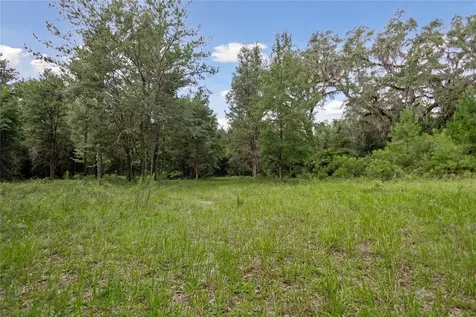 8530 NE 160th Avenue Williston FL 32696