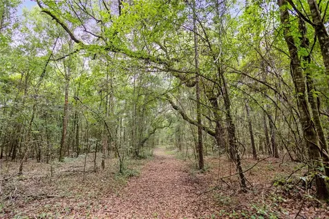 8530 NE 160th Avenue Williston FL 32696