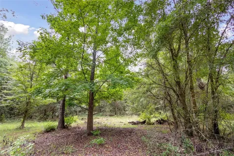 8530 NE 160th Avenue Williston FL 32696