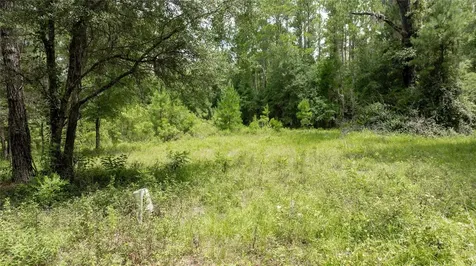 8530 NE 160th Avenue Williston FL 32696
