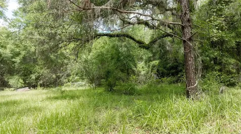 8530 NE 160th Avenue Williston FL 32696