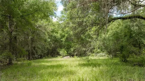 8530 NE 160th Avenue Williston FL 32696