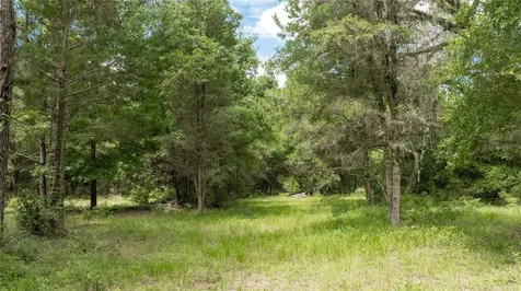 8530 NE 160th Avenue Williston FL 32696