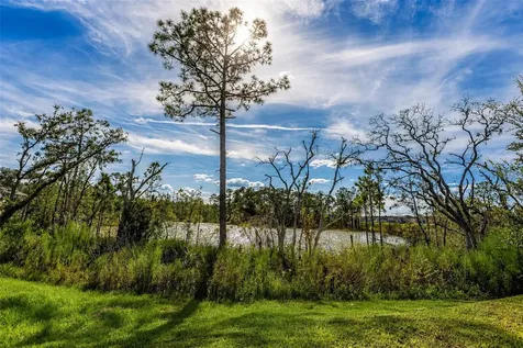 1030 Plantation Lane Davenport FL 33896