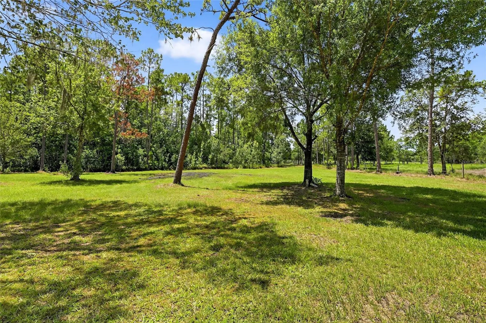 6250 Green Pond Road Polk City FL 33868