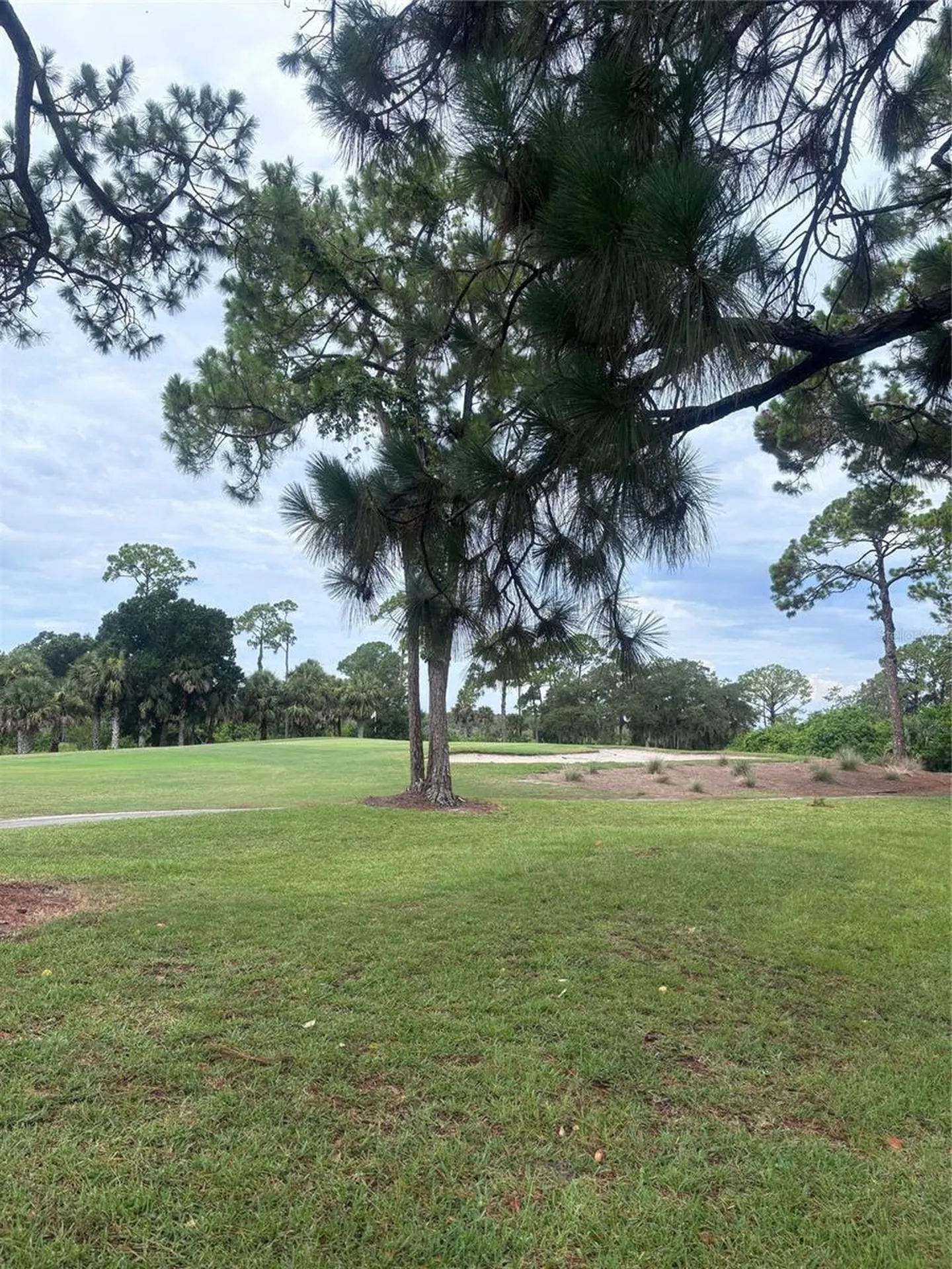 31 Lake Fairgreen Circle New Smyrna Beach FL 32168