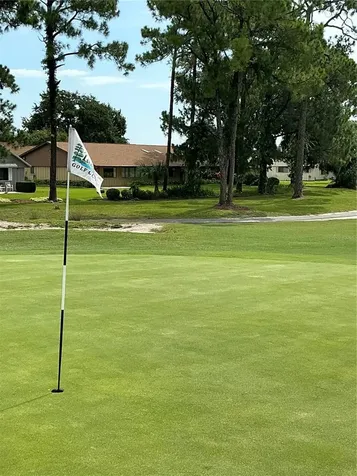 31 Lake Fairgreen Circle New Smyrna Beach FL 32168