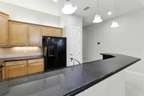 529 Meandering Way Polk City FL 33868