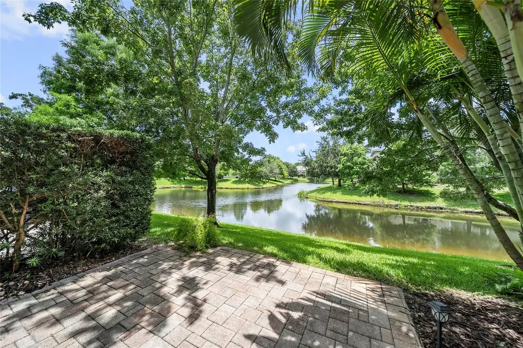 558 Harbor Ridge Drive Palm Harbor FL 34683
