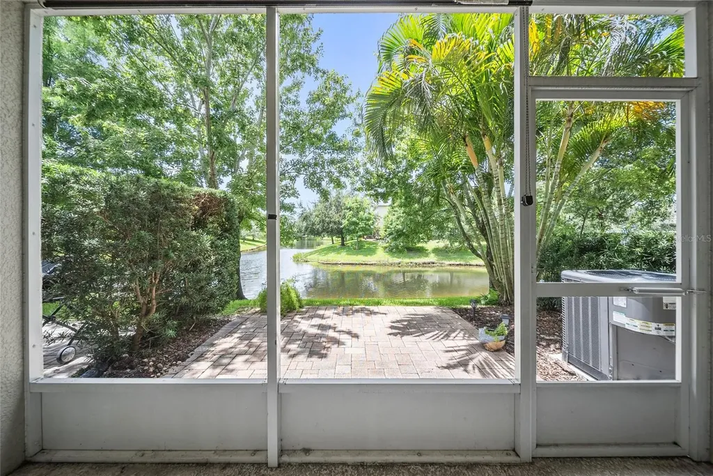 558 Harbor Ridge Drive Palm Harbor FL 34683