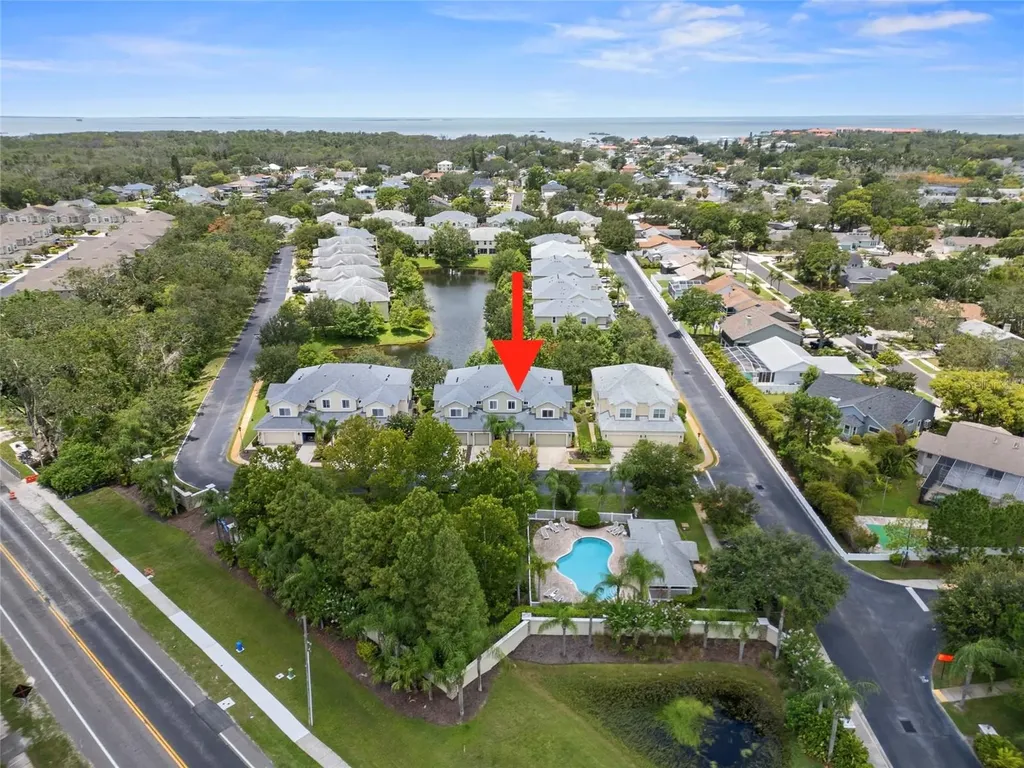 558 Harbor Ridge Drive Palm Harbor FL 34683