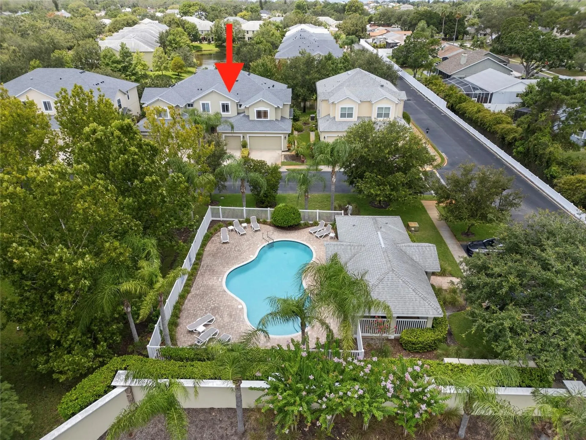 558 Harbor Ridge Drive Palm Harbor FL 34683