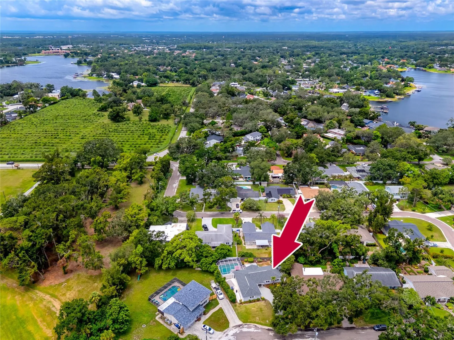 10504 Lacera Drive Tampa FL 33618