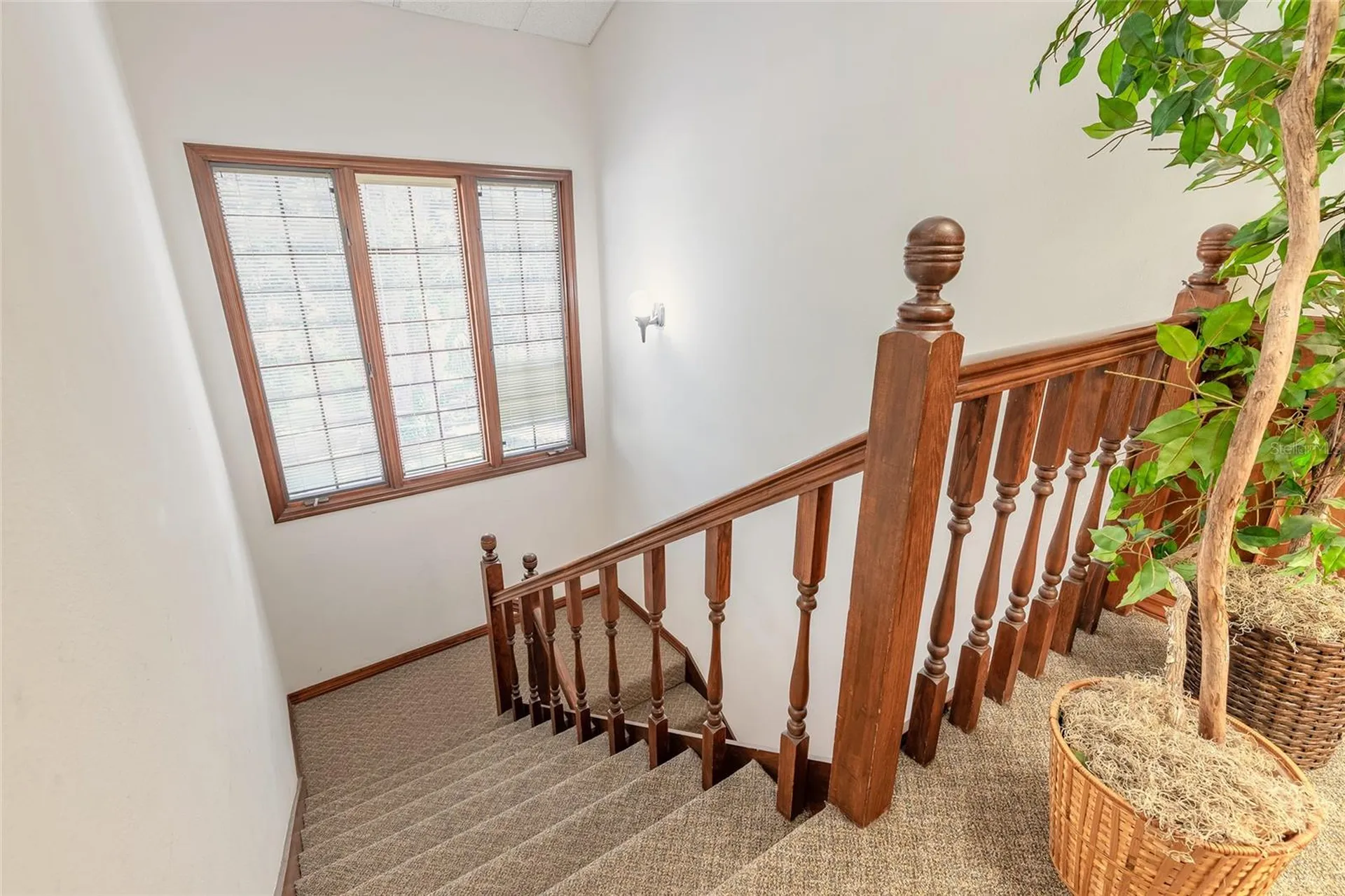 205 Magnolia Street New Smyrna Beach FL 32168