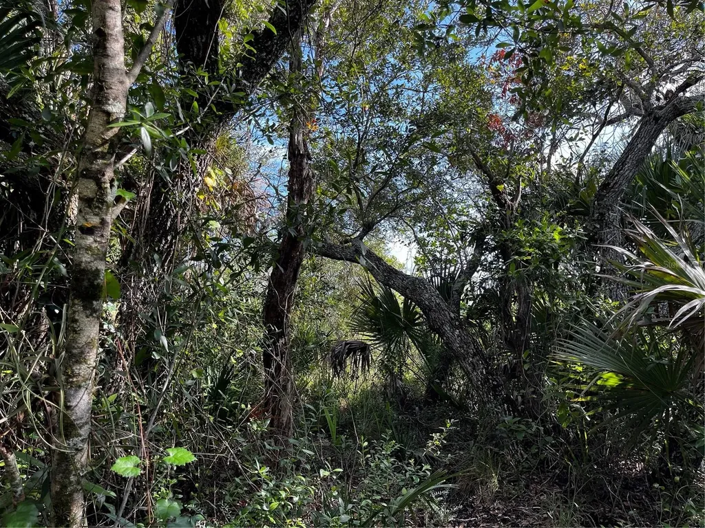 50204 Bermont Road Punta Gorda FL 33982