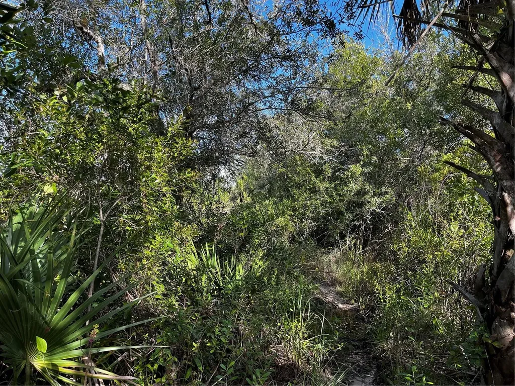 50204 Bermont Road Punta Gorda FL 33982